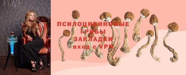 прущий лед Алексеевка