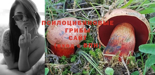 стаф Алексин