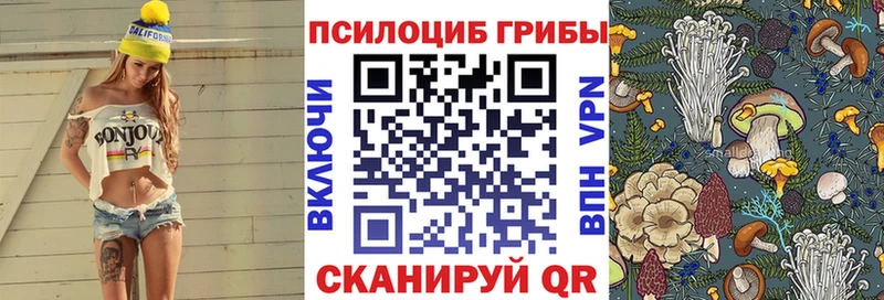 магазин продажи   Микунь  Галлюциногенные грибы MAGIC MUSHROOMS 